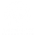 Paradox Interactive